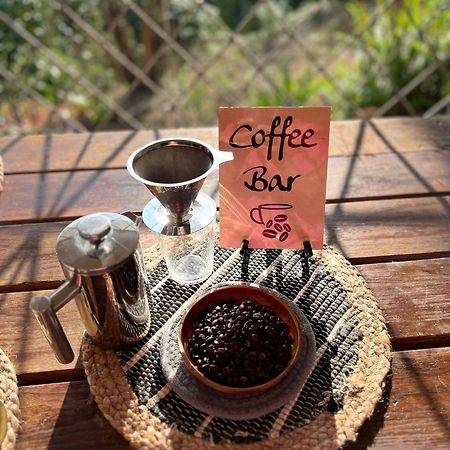 Adella'S Blue Mountain Coffee Farmstay Kingston Exterior photo