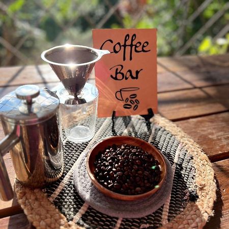 Adella'S Blue Mountain Coffee Farmstay Kingston Exterior photo