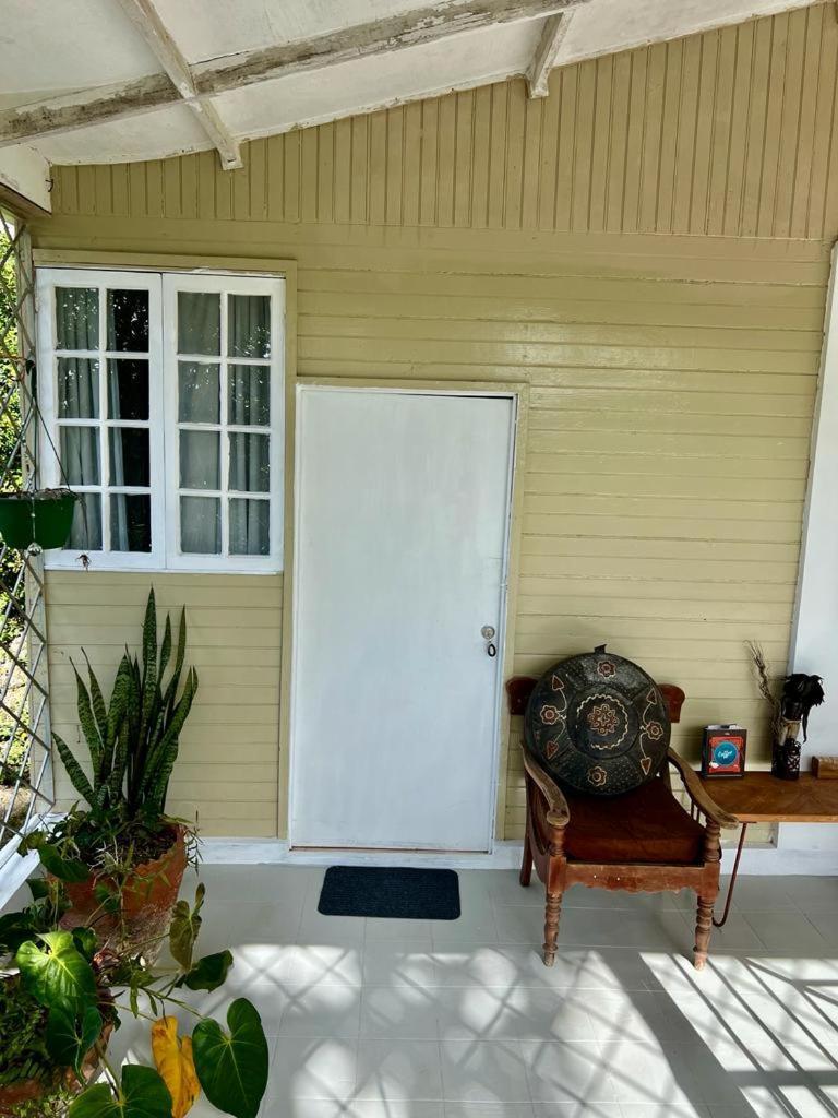 Adella'S Blue Mountain Coffee Farmstay Kingston Exterior photo