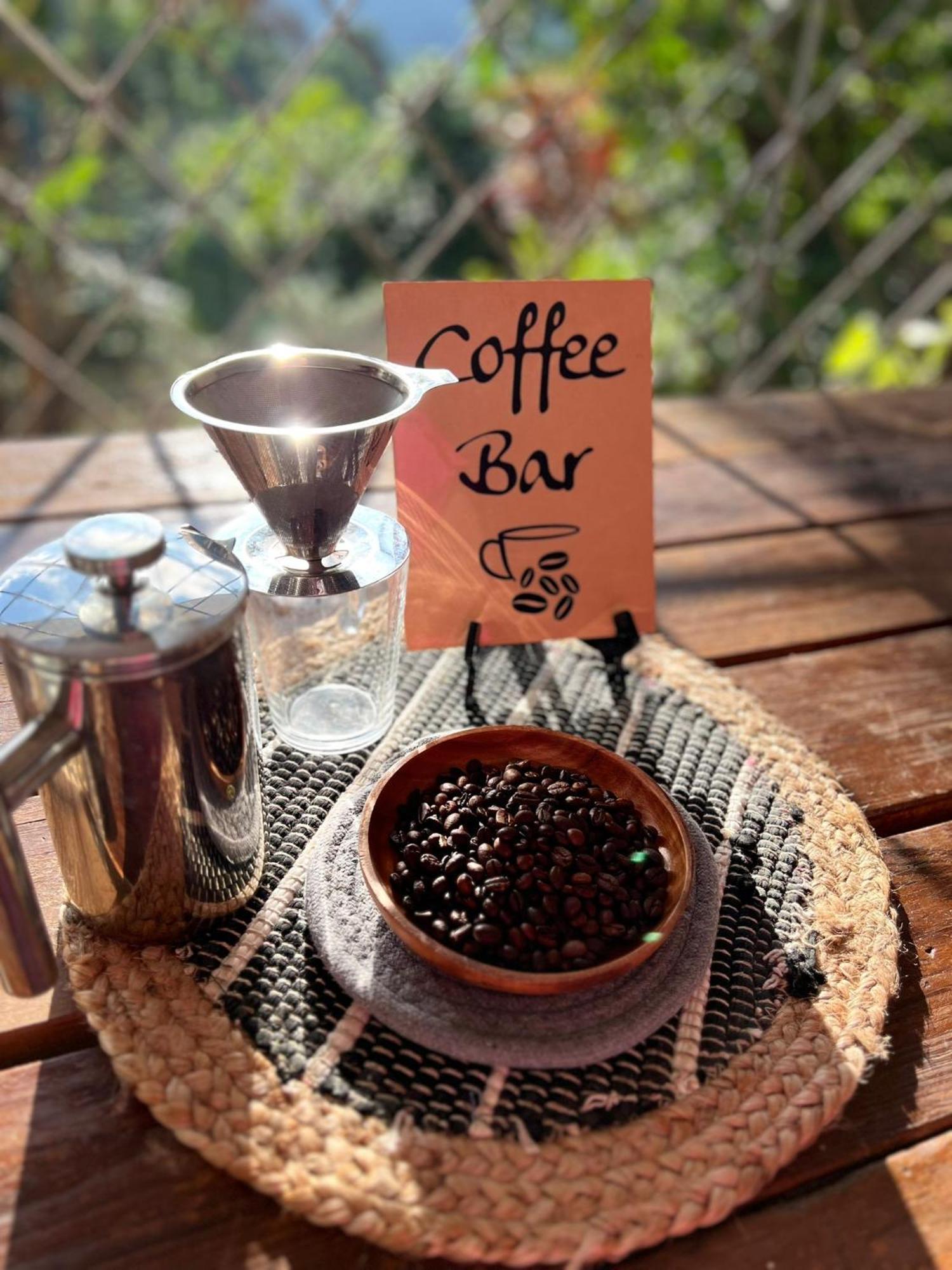 Adella'S Blue Mountain Coffee Farmstay Kingston Exterior photo