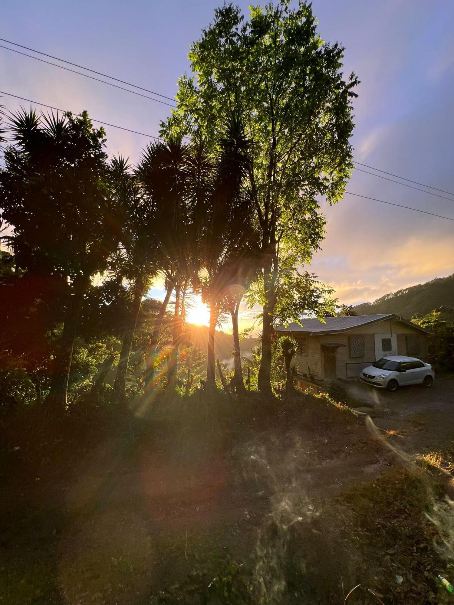 Adella'S Blue Mountain Coffee Farmstay Kingston Exterior photo